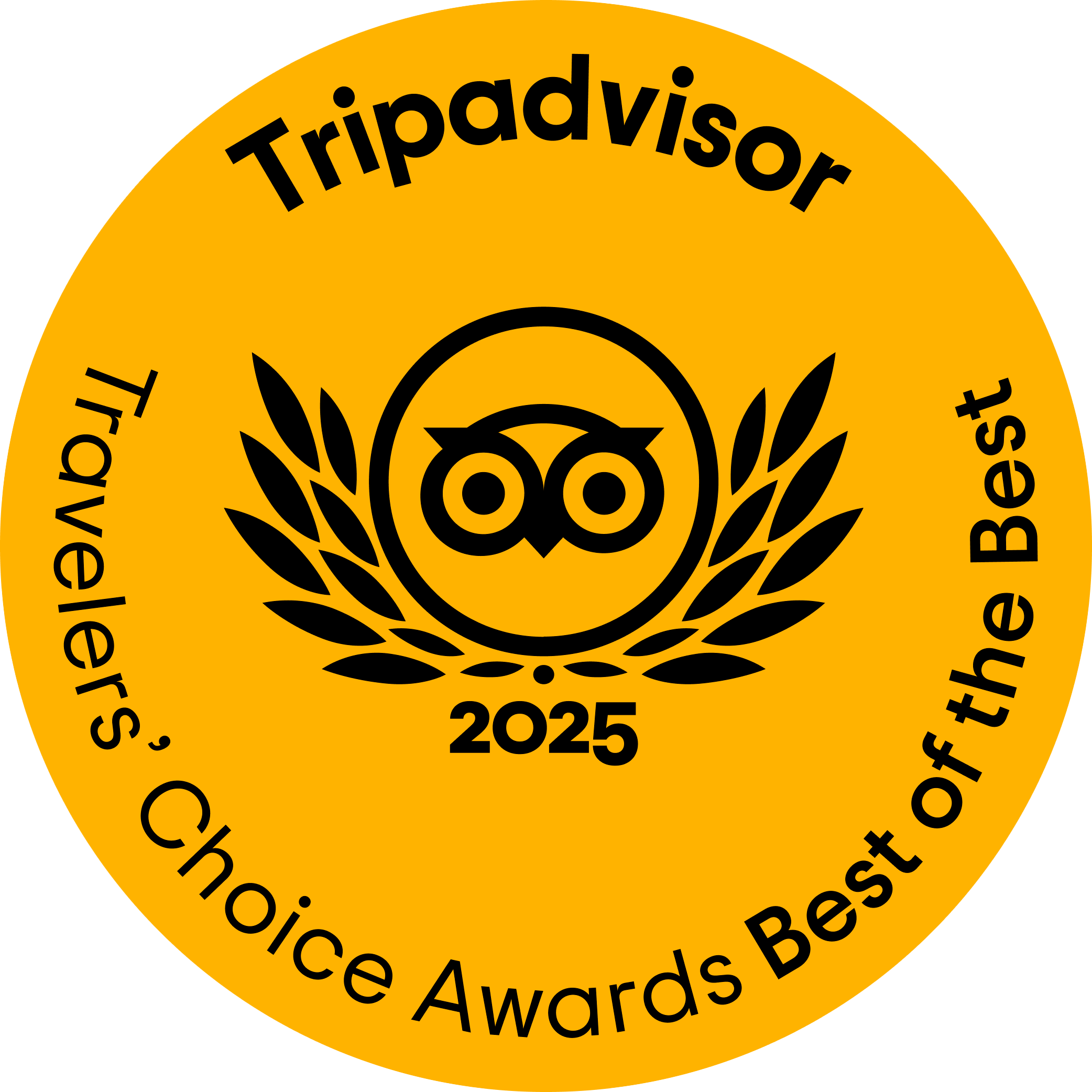 TripAdvisor Logo